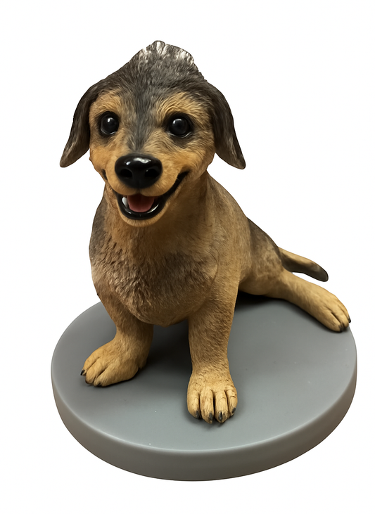 Custom Mini Clone – Pet Handmade Bobblehead